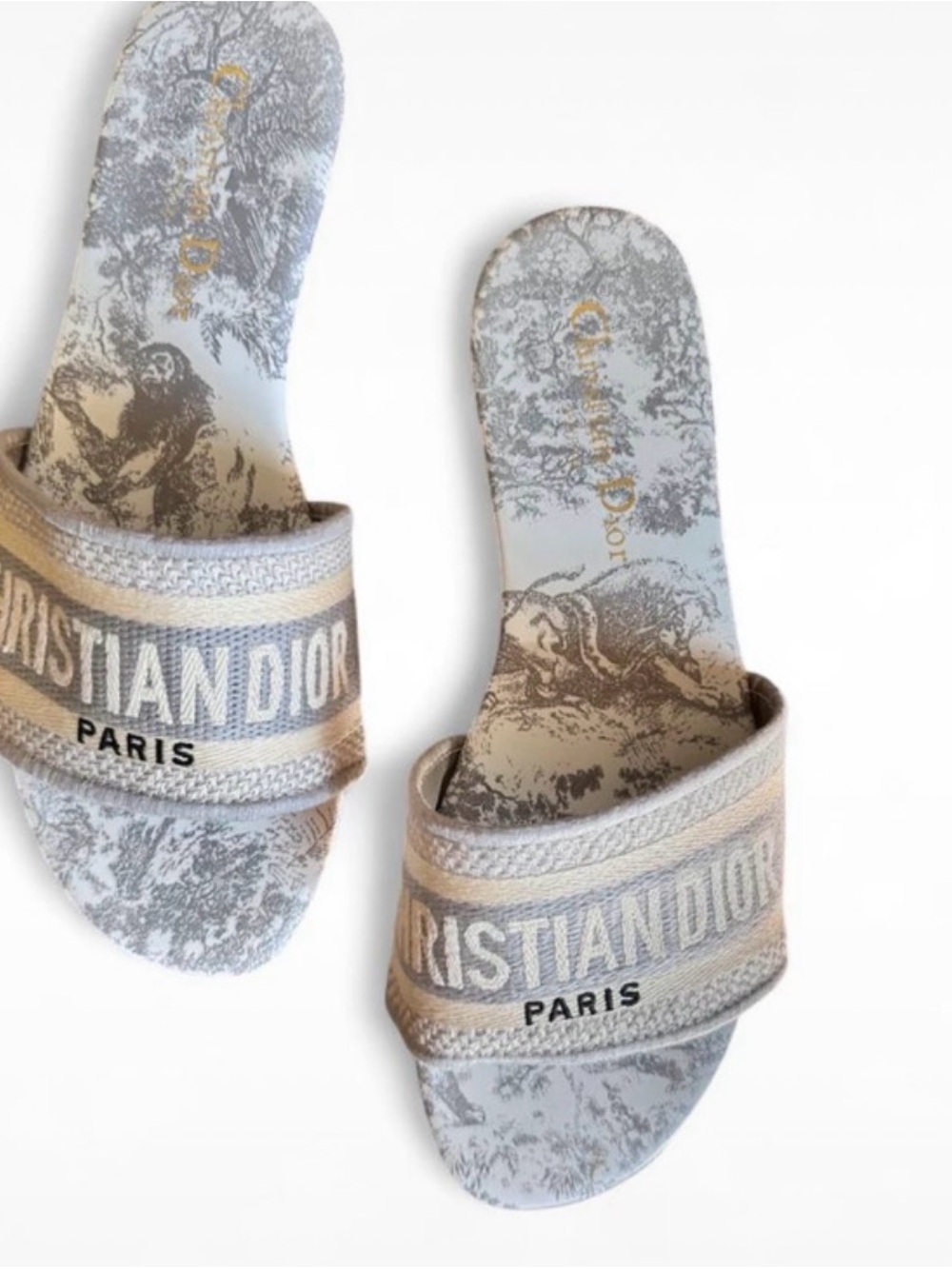 Dior Beige and Gray Toile Slide Sandals - Christian Dior Paris